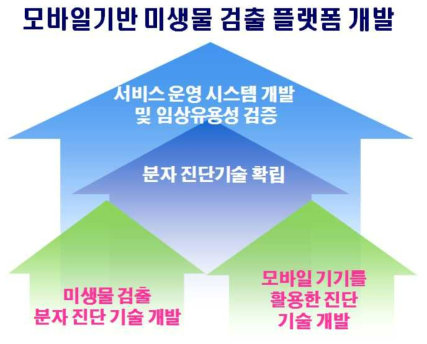 최종 목표 달성을 위한 모식도