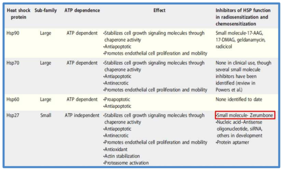 Zerumbone이 유일한 저분자 HSP27 저해제임을 제시
