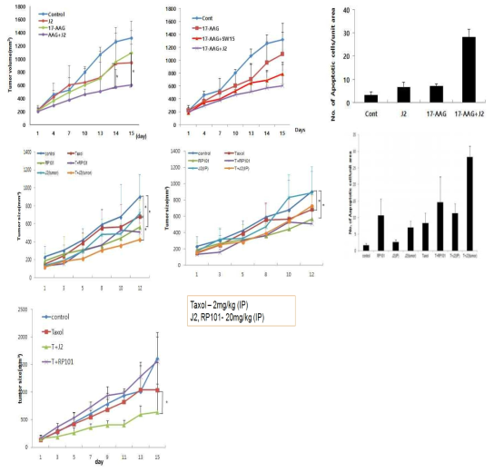 J2 병용처리에 의한 17-AAG HSP90 저해제 또는 Taxol의 Xenograft 동물모델에서 항암 증진 효과