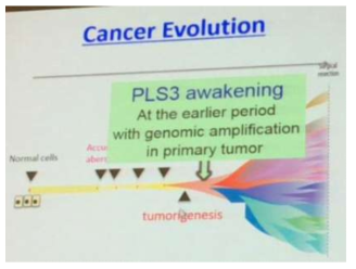 Plastin 3 is a novel CTC marker in solid cancers