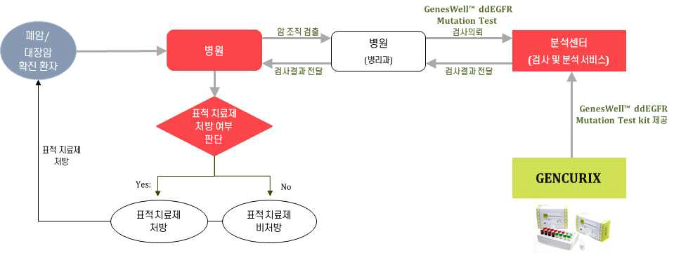 폐암 및 대장암 판매 전략