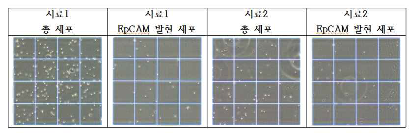 Monocyte 세포 수 및 EpCAM-Bead에 의해 분리되어진 EpCAM(+) 세포 수