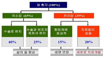 일반적인 암 치료 방법