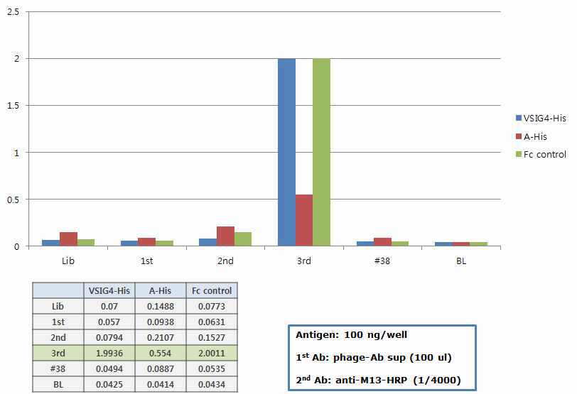 패닝 각 라운드에서 얻어진 양성 파아지 pool에 대한 poly phage ELISA