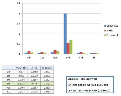 패닝 각 라운드에서 얻어진 양성 파아지 pool에 대한 poly phage ELISA