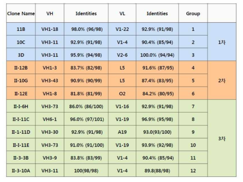 3차 패닝 시도에서 최종 선별된 항 VSIG4 양성 파아지 클론 리스트