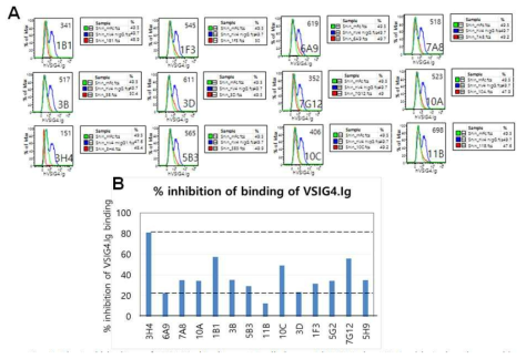 항-VSIG4 항체에 의한 VSIG4.Ig의 T 세포 표면 결합 차단 효과