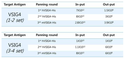 라이브러리 세트 #1, #2, #3, #4에 대한 hVSIG4와 mVSIG4 항원에 대한 cross panning