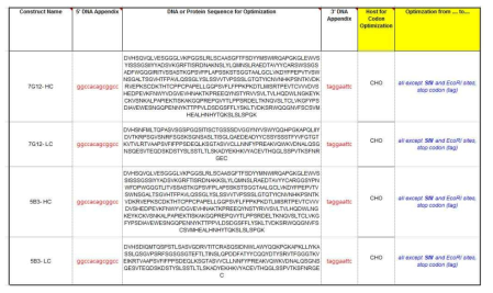 항 human VSIG4 mAb (5E3, 7G12)의 유전자합성 의뢰서열