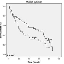 전체 환자군에서 VSIG4 발현에 따른 전체 생존율에 대한 Kaplan–Meier 곡선