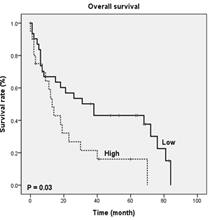 자가조혈모세포 이식 부적합 환자군에서 VSIG4 발현에 따른 전체 생존율에 대한 Kaplan–Meier 곡선