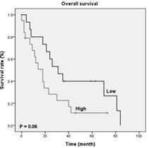 폐암에서 VSIG4 발현에 따른 전체 생존율의 차이를 보여주는 Kaplan-Meier 생존 곡선