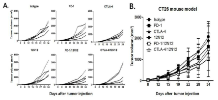 대장암 세포주 CT-26 마우스 모델에서 VSIG4 차단 항체의 치료 효과