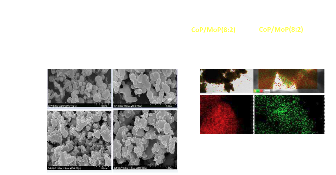 합성된 CoP-MoP 복합체 분말의 SEM 형상 이미지 및 TEM/EDS mapping image