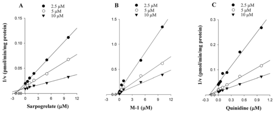 인체 간 마이크로솜에서 사포그릴레이트 및 M-1의 CYP2D6효소 저해에 대한 Dixon plot.