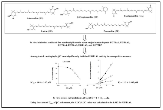 베타크립토잔틴(βC)의 UGT1A1활성저해에 대한 IC50값, Ki값 및 임상에서 UGT1A1저해에 따른 약물상호작용예측