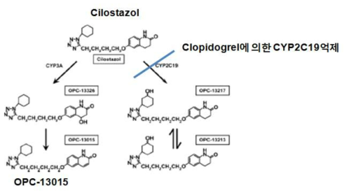 실로스타졸의 대사경로 및 클로피도그렐에 의한 CYP2C19저해그림