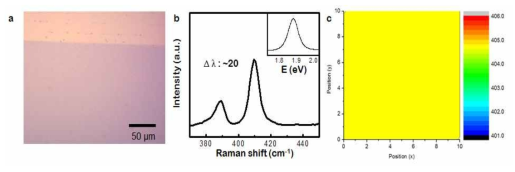 (a) SiO2 위에 합성된 단층 MoS2 의 OM image (b) 단층 MoS2 의 라만스펙 트럼 inset : Photoluminescence 스펙트럼 (c) A1g 픽 라만 맵핑 결과