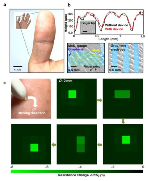 (a) 손가락 위에서의 MoS2 촉각 센서의 이미지 (b) 손가락 지문 위에서 촉각센서의 높은 Conformalibility (Surface profile, SEM image) (c) 터치 펜 (D : 2mm) 의 움직임에 따른 촉각 센서 어레이들의 저항 특성 변화