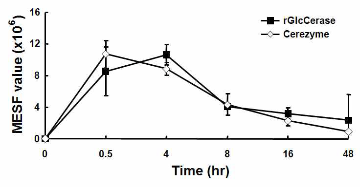재조합 β-glucocerebrosidase와 Cerezyme의 생체 내 시간별 효능유지실험