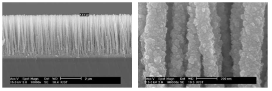 교차 증착법에 의해 성장한 SSC-GDC 복합 나노선의 미세구조