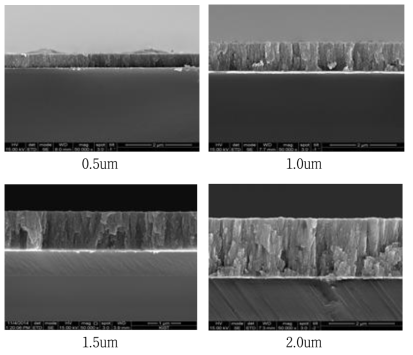 LiCoO2 박막의 두께에 따른 미세조직