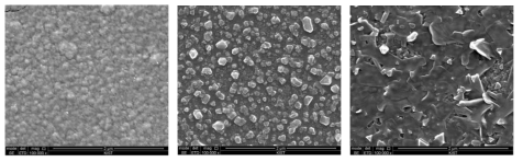 Annealing 온도에 따른 LiMn1.5Ni0.5O4의 미세조직