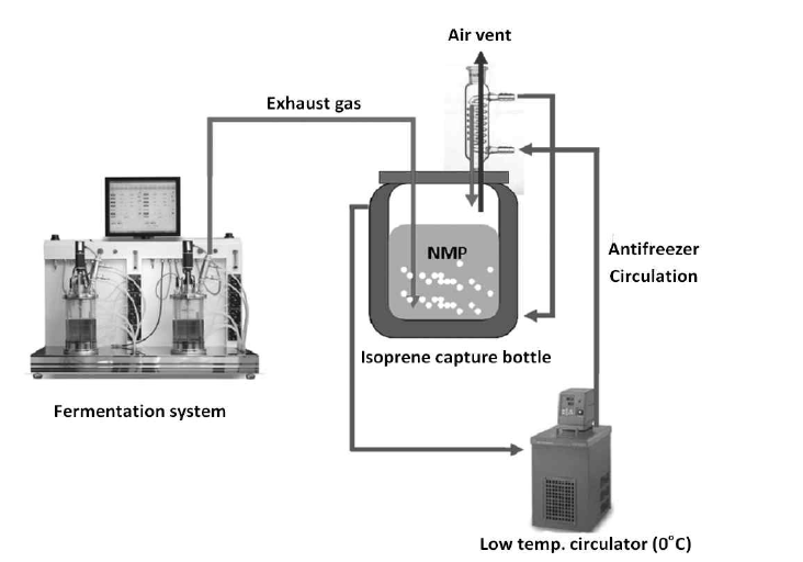 Isoprene 생산균주 대량배양 및 포집 장치