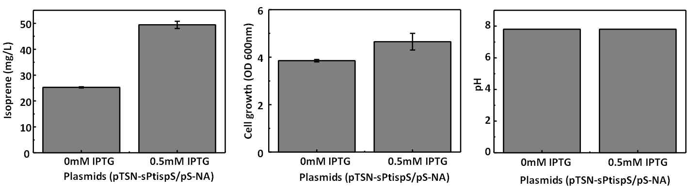 IPTG가 첨가에 따른 혐기적 조건에서 이소프렌 생산성 비교.