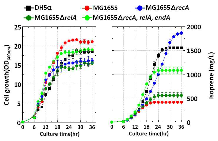 MG1655 유전자 결손 균주의 이소프렌 생산성 비교
