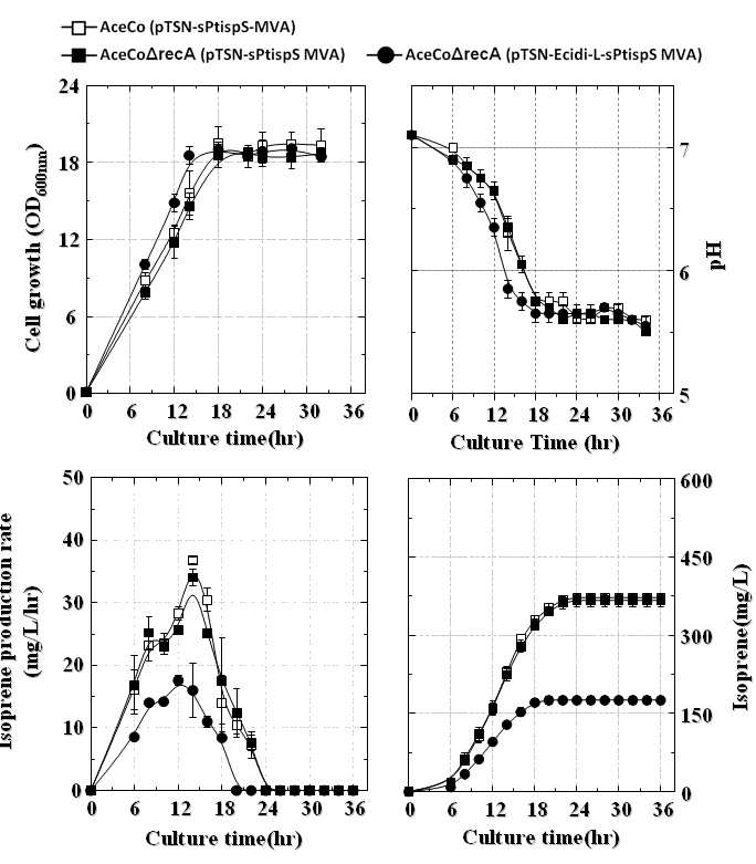 AceCo 균주와 recA 유전자 결손을 통합한 균주의 이소프렌생산성 비교(IPTG 미첨가)