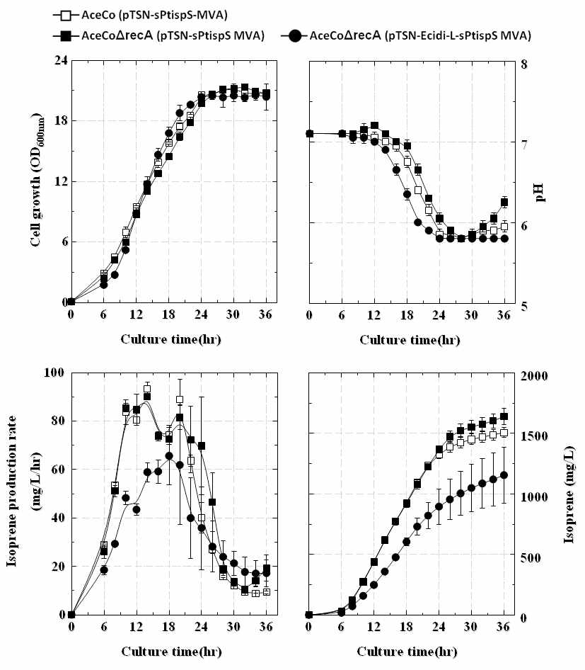 AceCo 균주와 recA 유전자 결손을 통합한 균주의 이소프렌 생산성 비교(IPTG 첨가 배양)