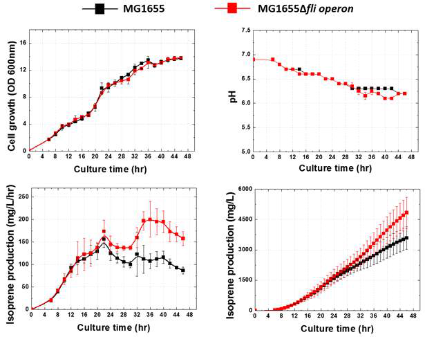 fli operon 결손을 통한 이소프렌 생산