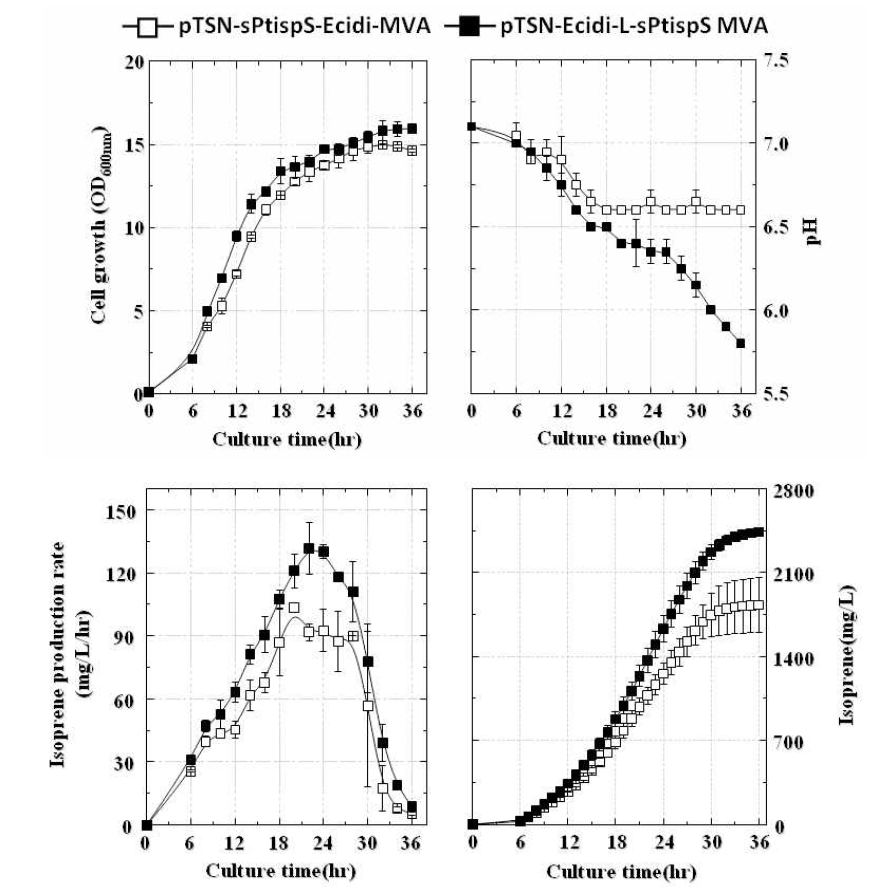 IDI-IspS 융합단백질을 이용한 이소프렌 생산성 비교