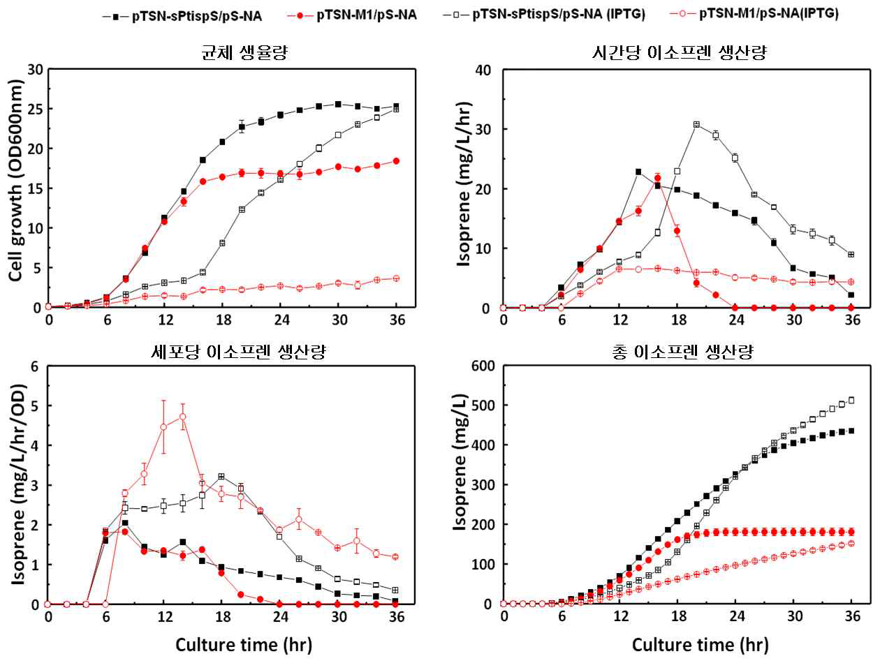 호기적 배양을 통한 야생형과 돌연변이 ispS가 도입된 대장균을 이용한 이소프렌 생산성 비교