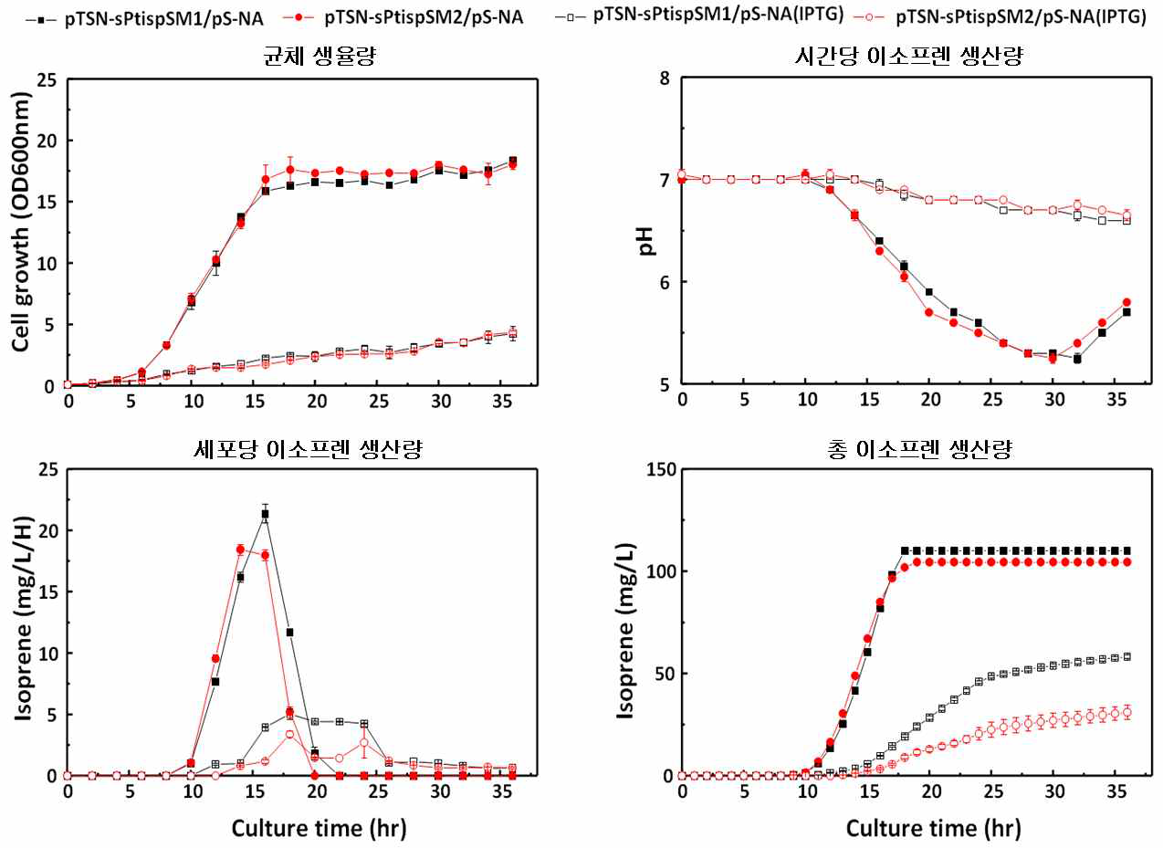 돌연변이 isoprene synthase M1과 M2의 이소프렌 생산성 비교