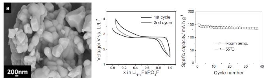 LiFePO4F 입자와 전기화학 성능