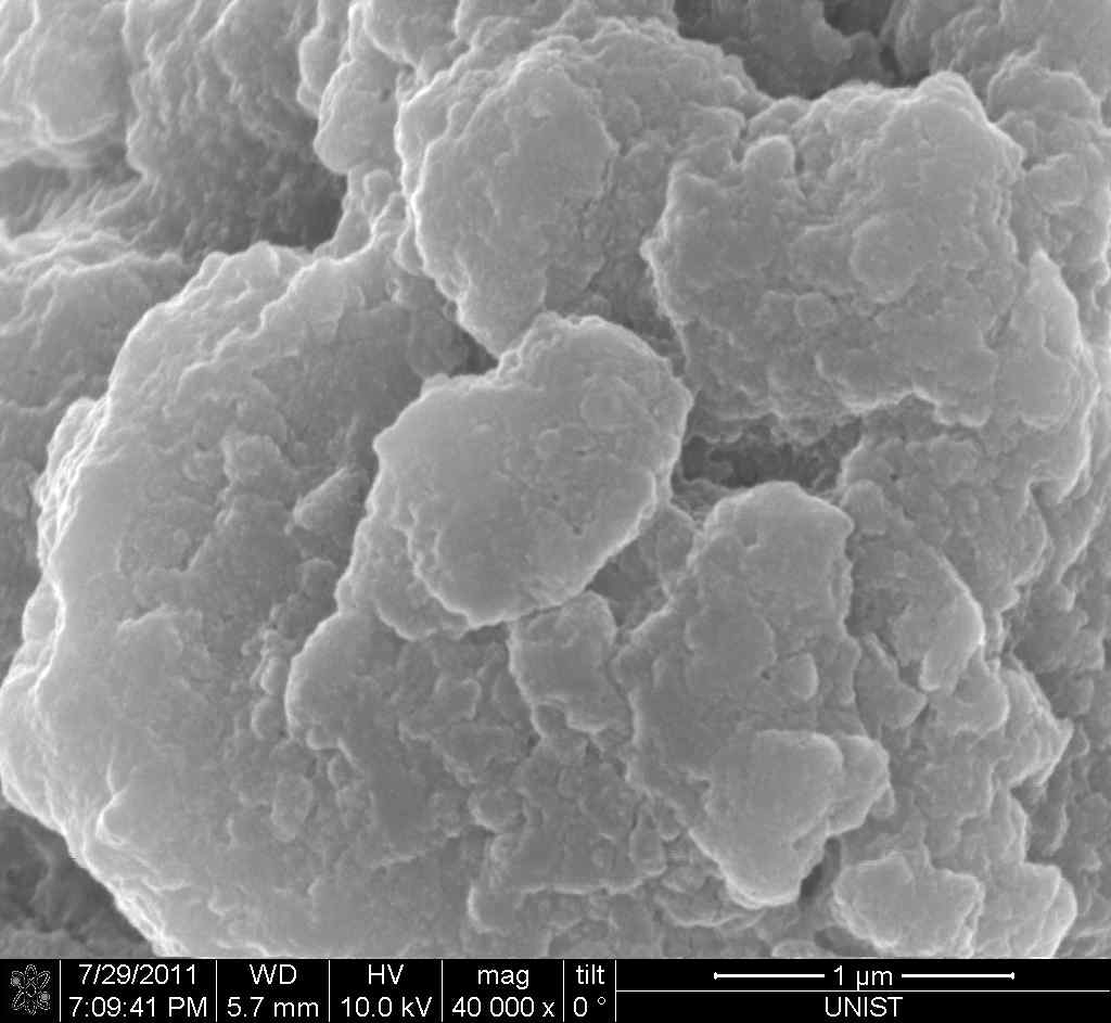 SEM image of Li2FePO4F