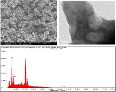 SEM and TEM images of LiFeSO4F Tavorite with corresponding EDS profiles