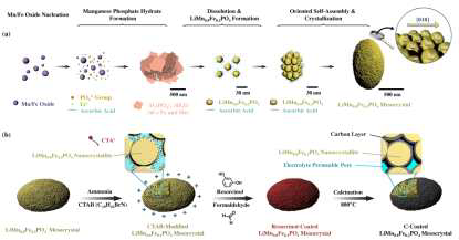 LiMn0.8Fe0.2PO4 메소결정 합성 과정 및 Resocinol을 통한 탄소코팅 모식도