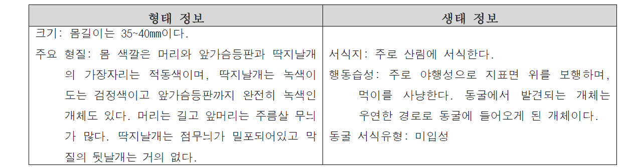 구축된 동굴생물 전자도감의 일부 메타정보 예시