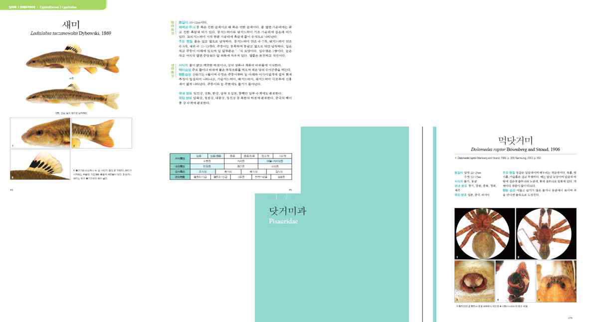 생물다양성 콘텐츠를 이용한 책 도감 본문 내용