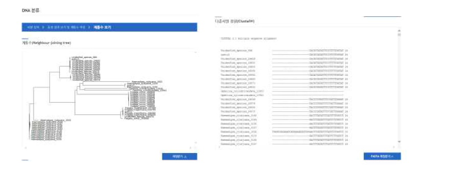 계통수 작성 및 다중서열정렬 결과