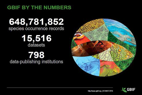 GBIF 정보 구축량 및 정보 제공기관 현황