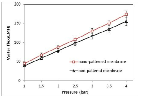 평판형 나노패턴 UF 분리막과 패턴이 없는 평판형 UF 분리막의 순수 투과 유속.