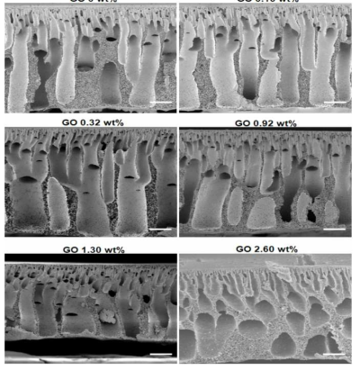 GO 함량에 따른 분리막 단면 구조의 변화.
