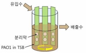 미생물 부착 실험의 모식도.