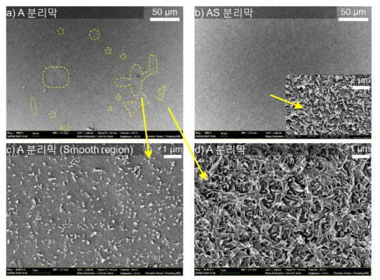 A 분리막, AS 분리막의 SEM 이미지.
