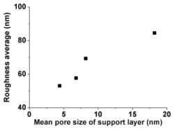 지지층 기공 크기 변화에 따른 활성층의 거칠기 변화.