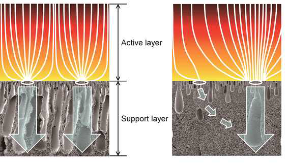지지층에서의 sponge-like region의 비율이 유의미하게 커질 경우 발생될 수 있는 활성층에서의 확산 경로 변화와 그로 인한 역삼투막의 수투수도 변화를 보여주는 개념도.